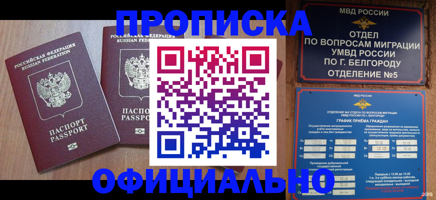 найти адрес прописки в Владимирской области
